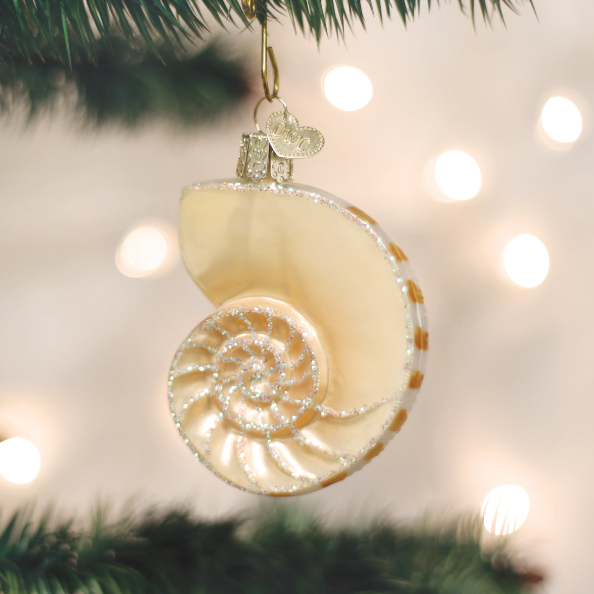 Nautilus Shell Ornament Old World Christmas