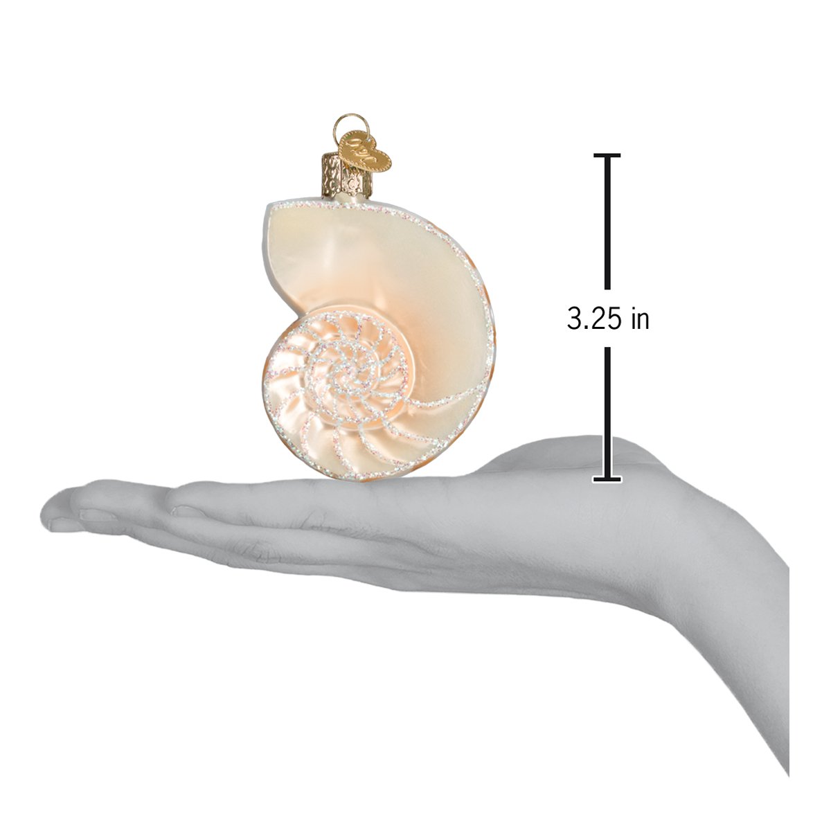 Nautilus Shell Ornament Old World Christmas