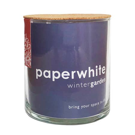 Essential | Paperwhite Garden | Christmas Best Seller