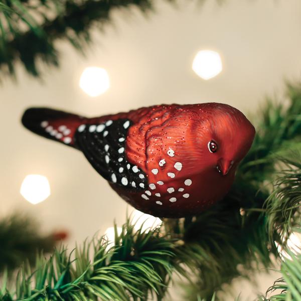 Strawberry Finch Ornament Old World Christmas