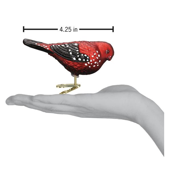 Strawberry Finch Ornament Old World Christmas