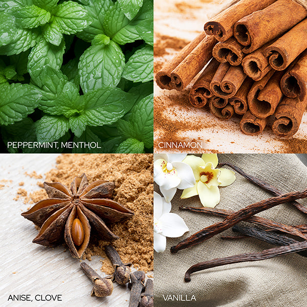 Twisted Peppermint Candle Old World Christmas