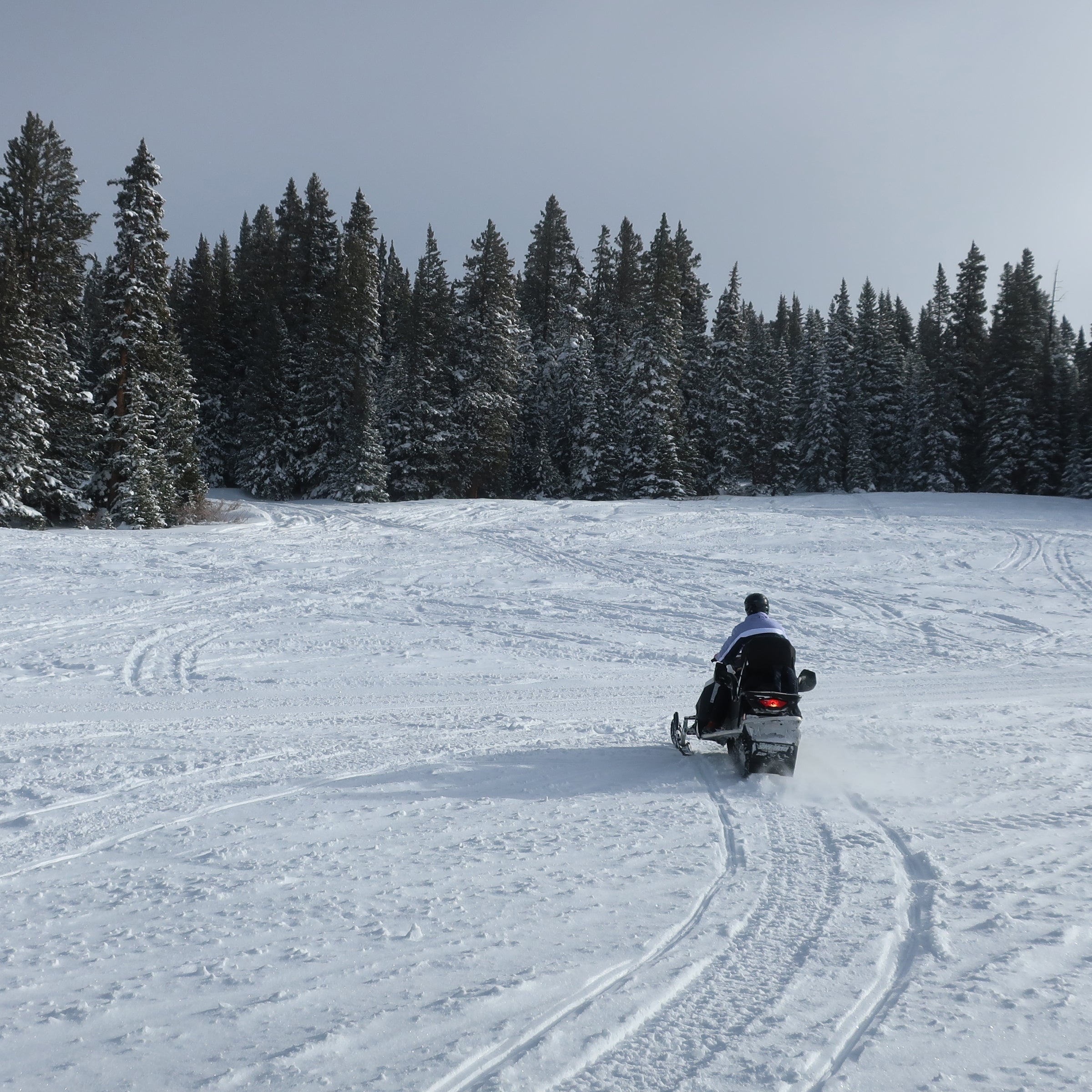 Leadville Guided Snowmobile Tour