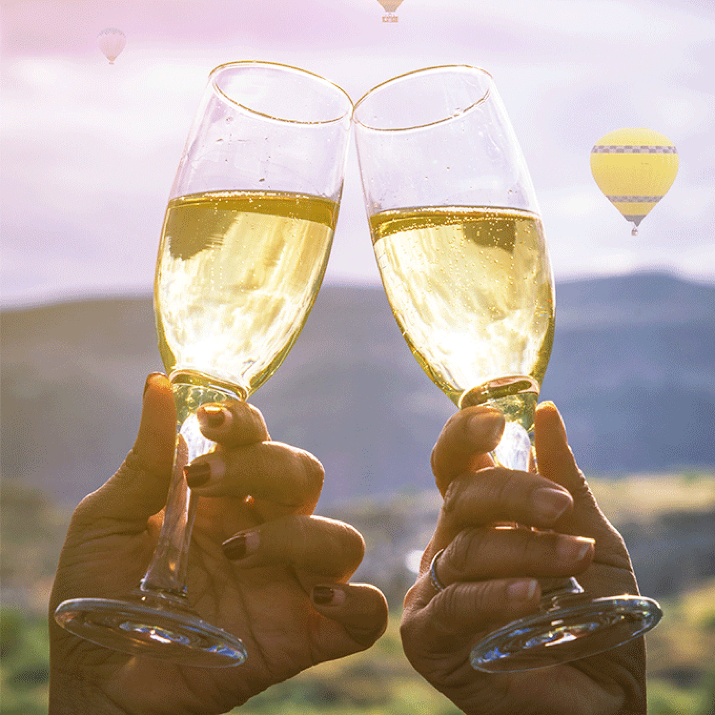 Shared Hot Air Balloon Ride with Champagne Toast