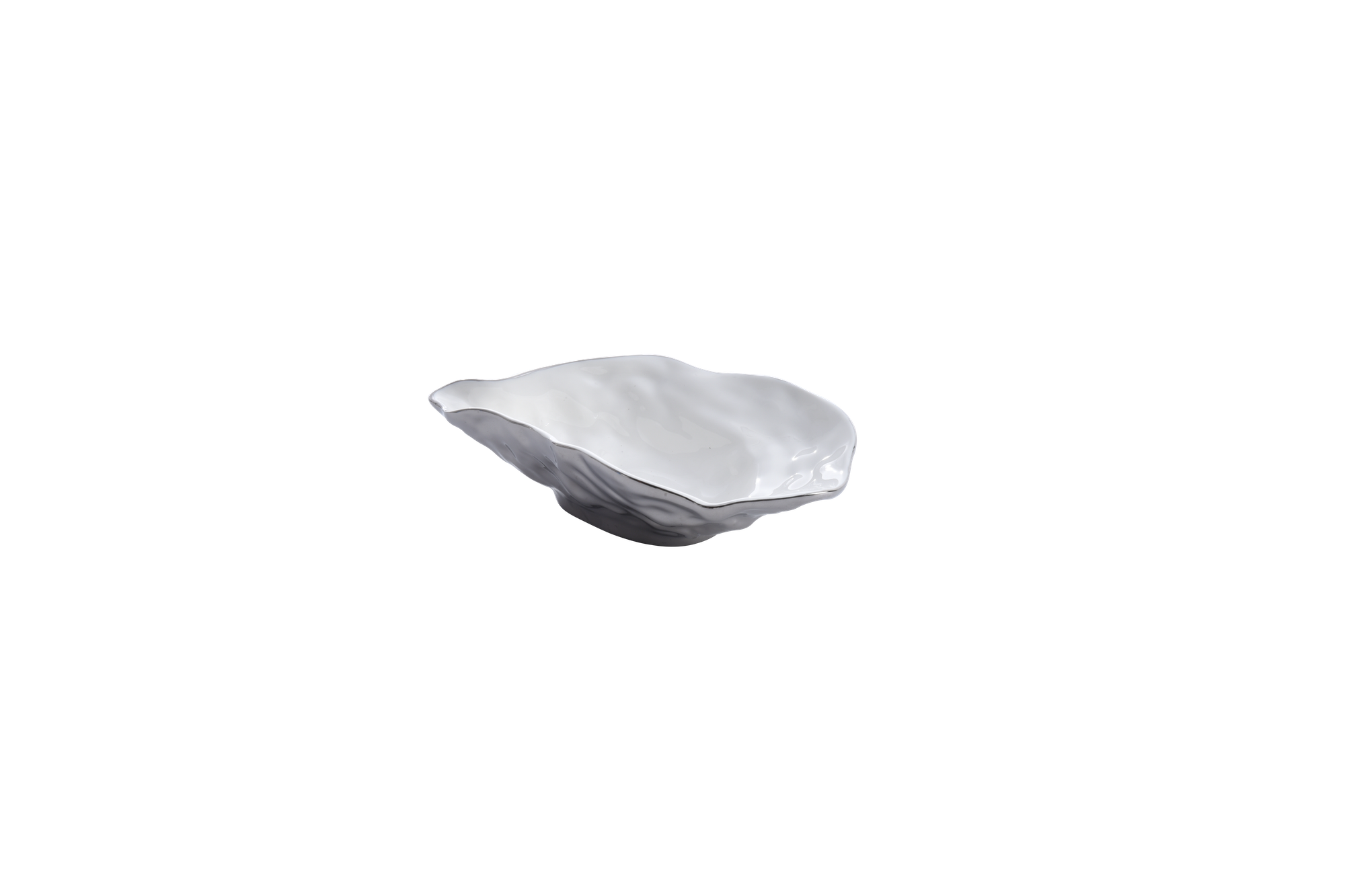 The Oysters Small Oyster Bowl Titanium Exterior