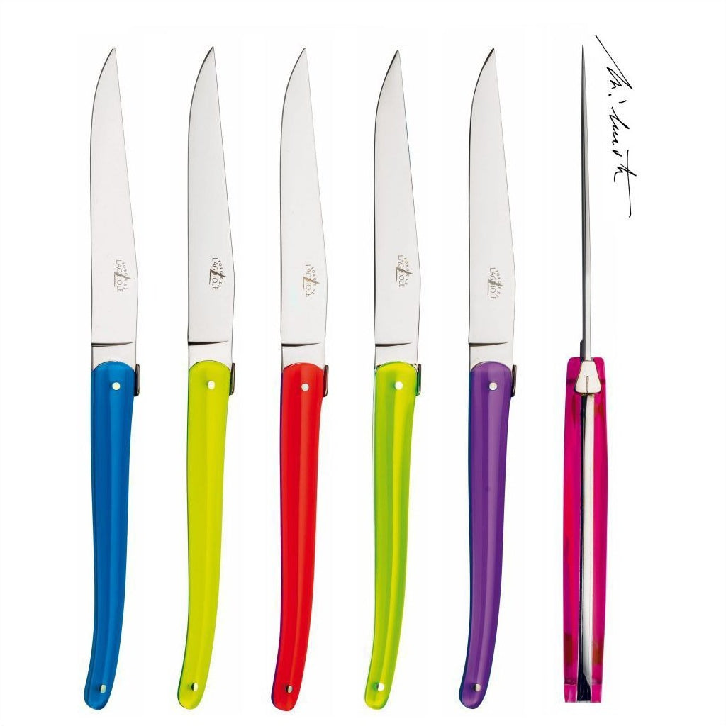 Jean-Michel Wilmotte Set of 6 Steak Knives Full Acrylic Handle