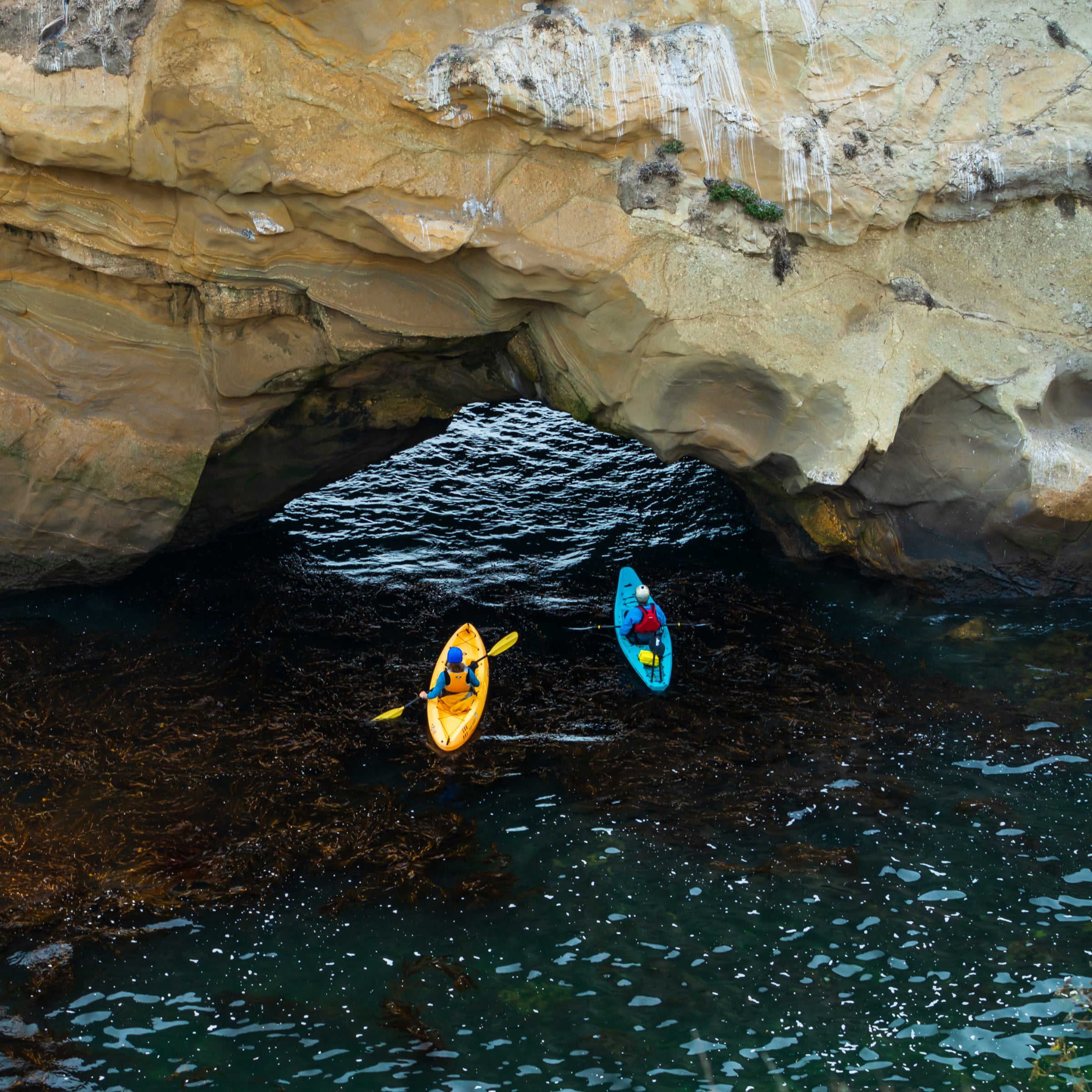 La Jolla Sea Caves Kayak Tour