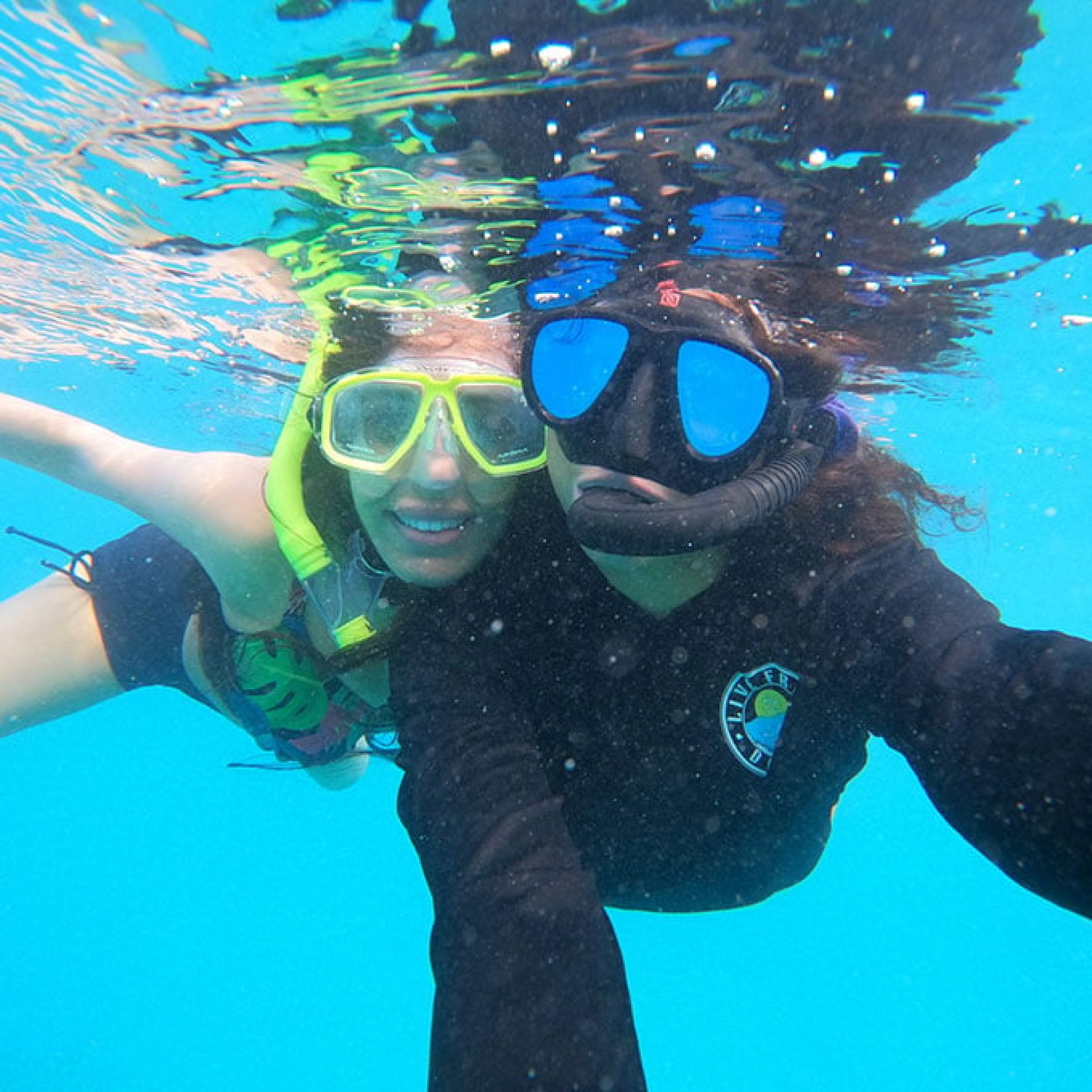 Guided Snorkel Tour of Blue Heron Bridge