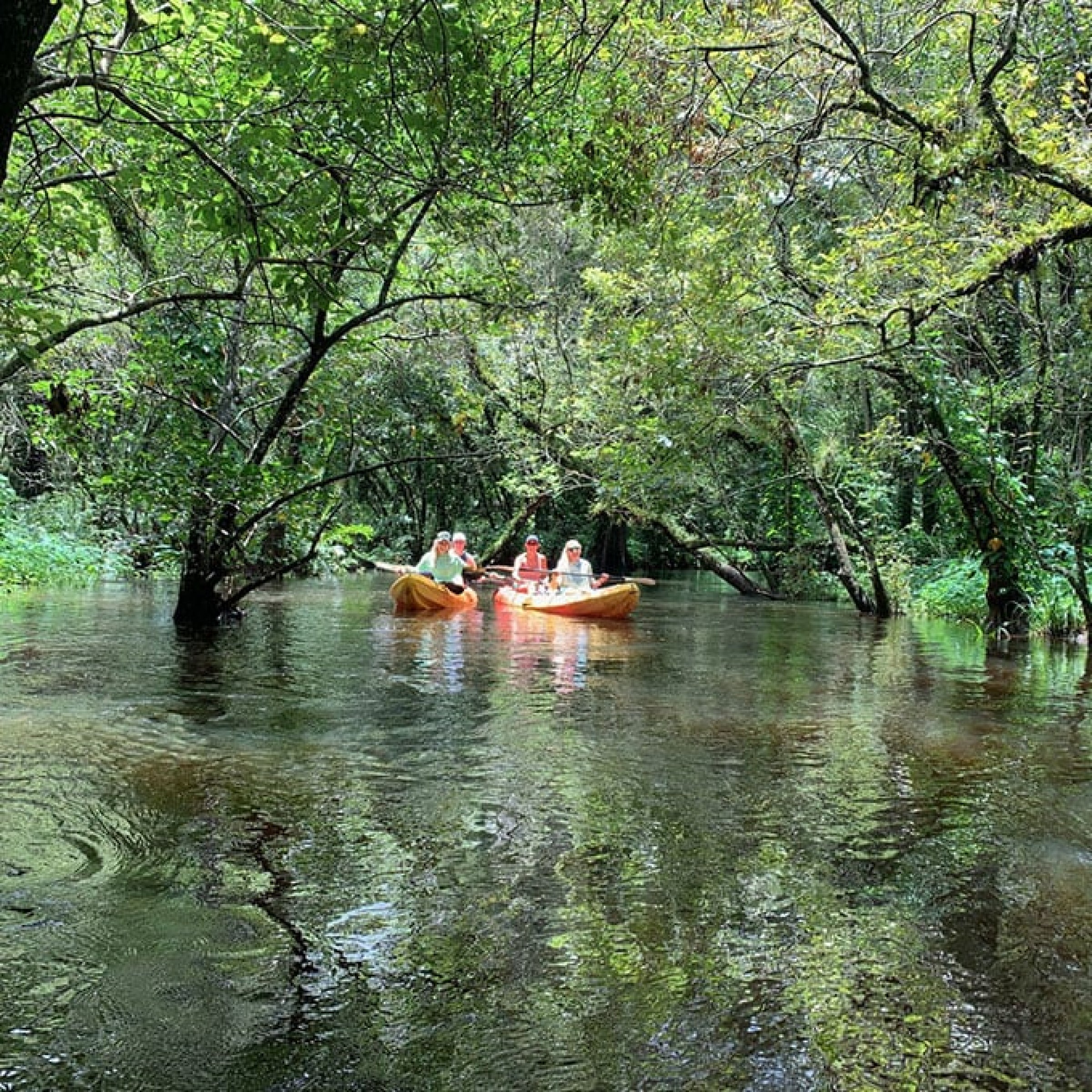 Riverbend Park Kayak and Bike Rental