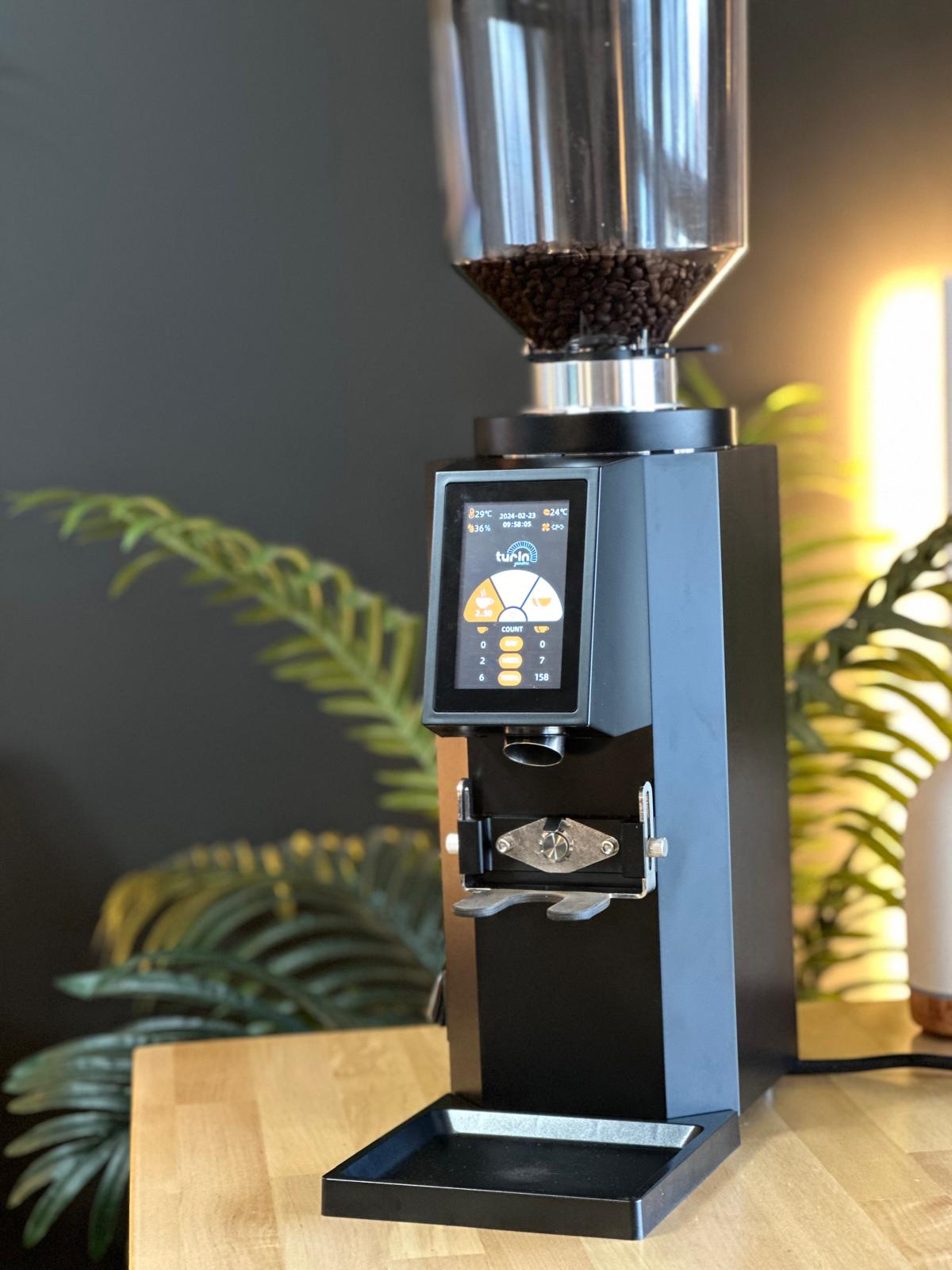 Turin ZF83 Commercial Espresso Grinder Espresso Outlet LLC
