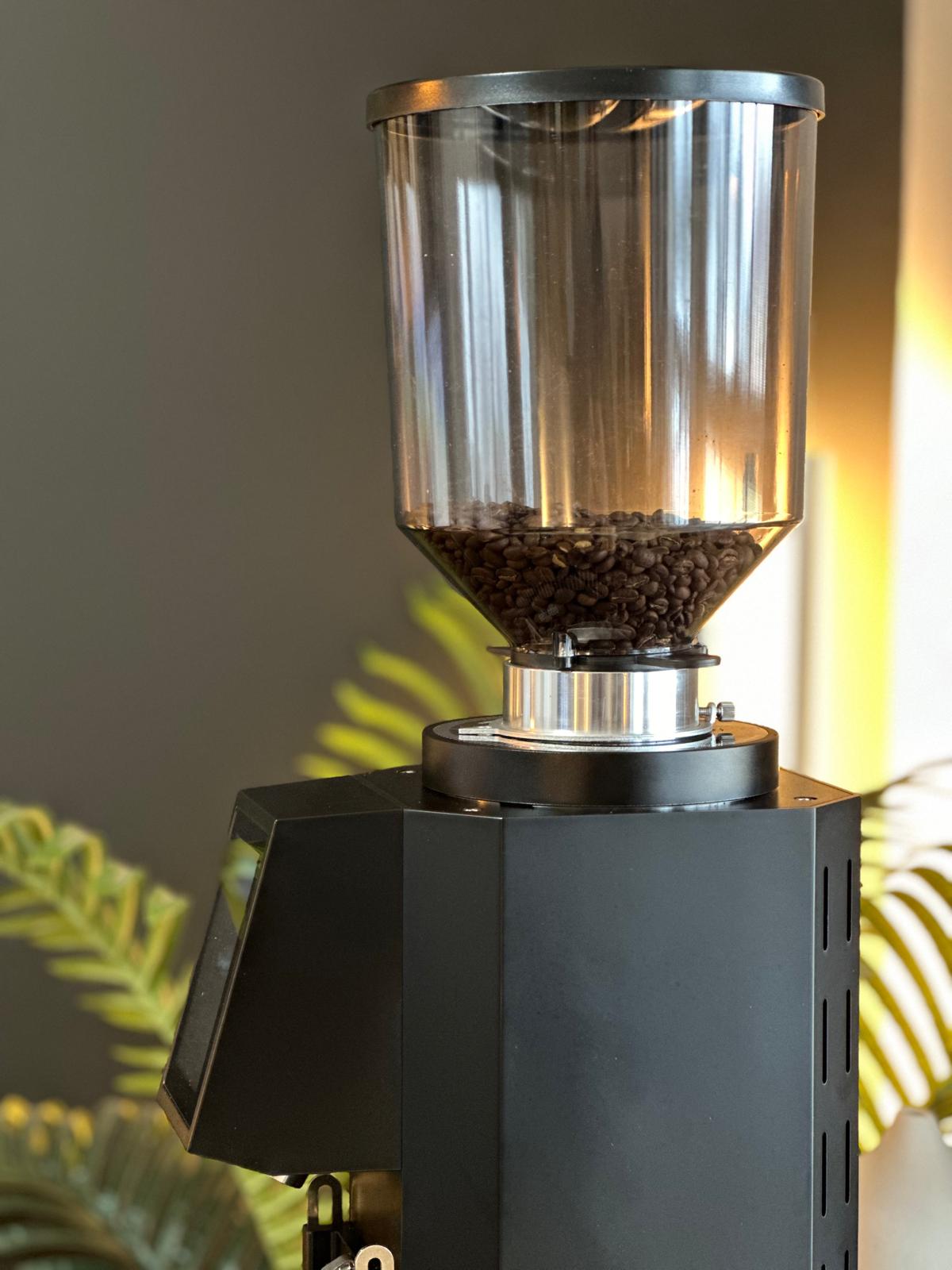 Turin ZF83 Commercial Espresso Grinder Espresso Outlet LLC