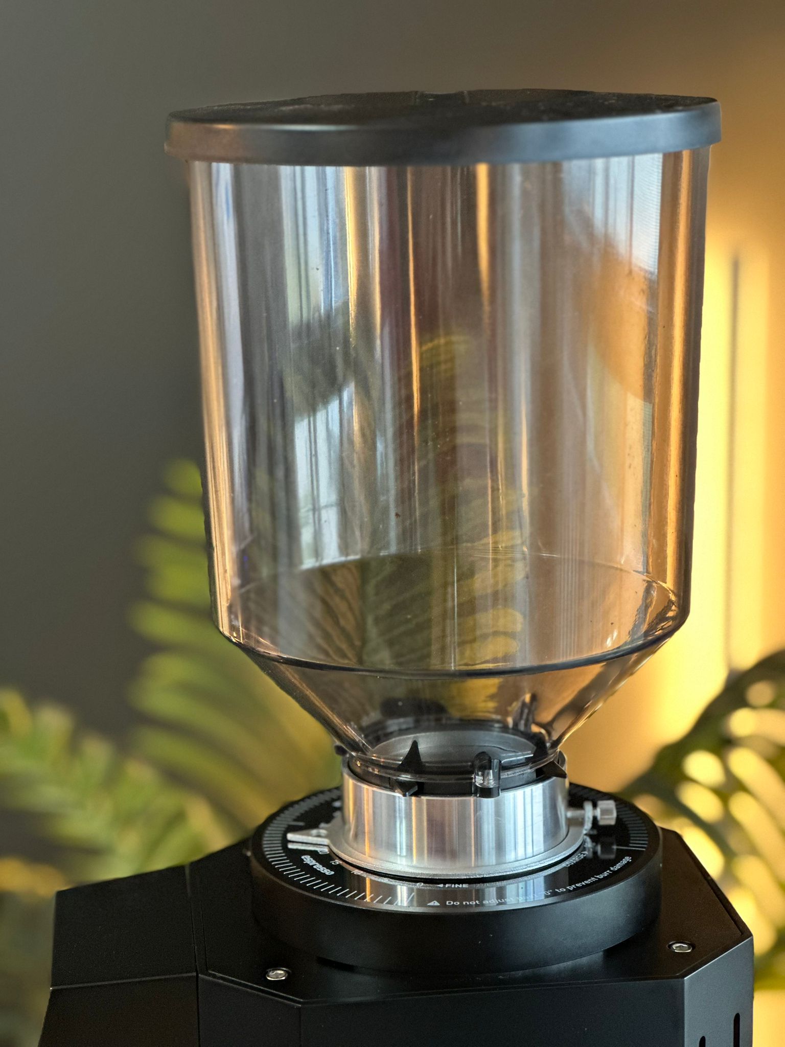 Turin ZF83 Commercial Espresso Grinder Espresso Outlet LLC