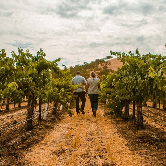 Premier Sidecar Wine Tour and Tasting