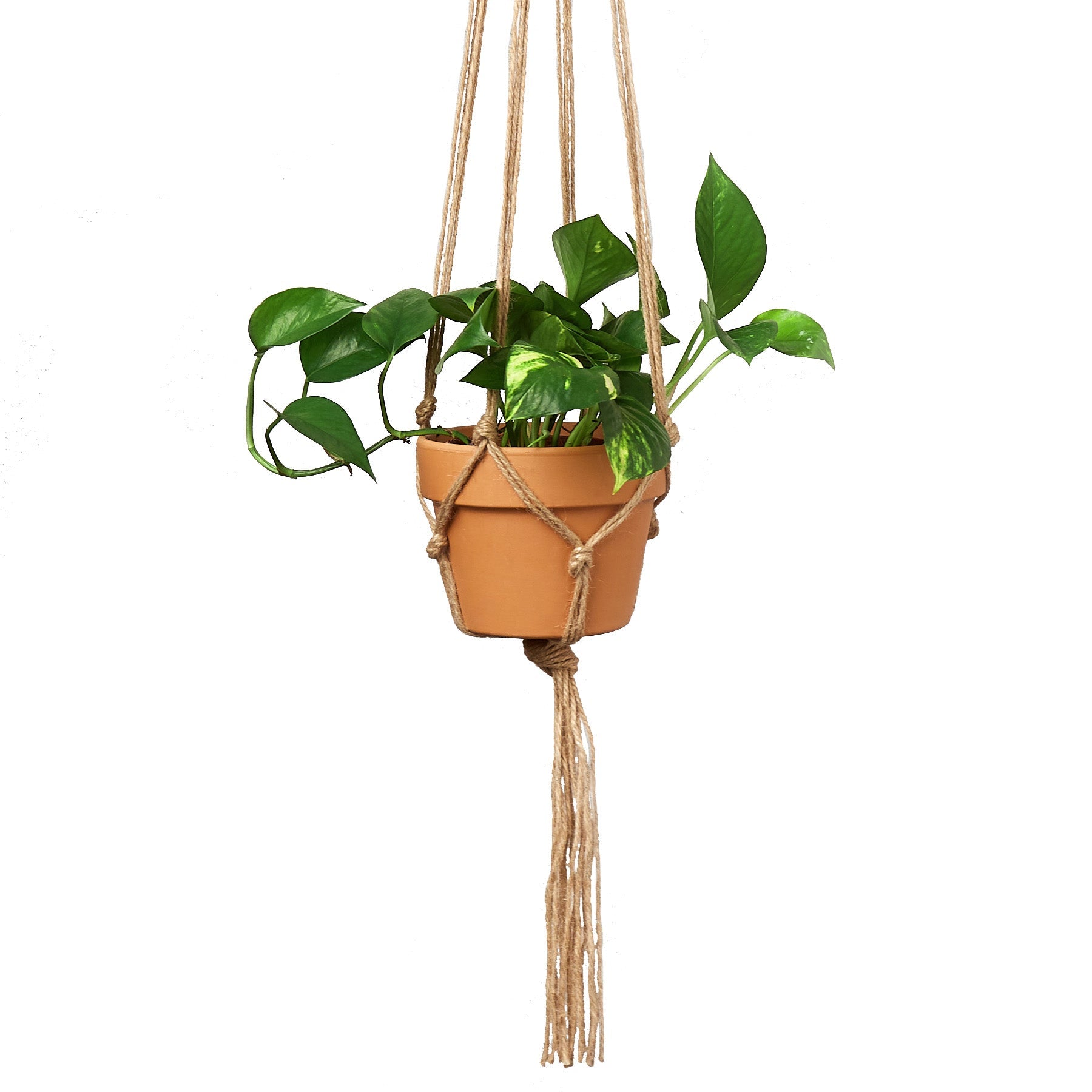 Macrame Hanger - Designed for 5 - 7 inch Planters